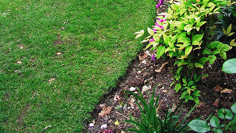 Weed Barrier with staples holing it down