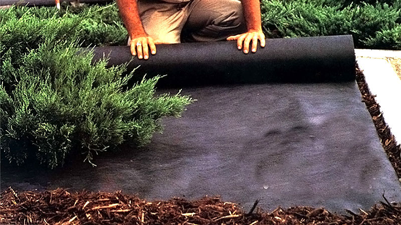 A man installing weed barrier